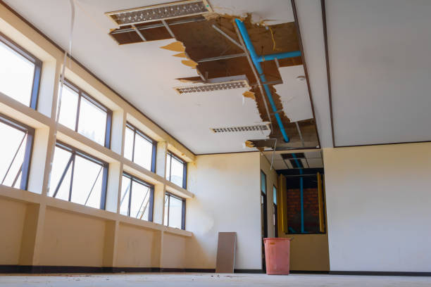 Best Ceiling water damage repair  in Van Vleck, TX