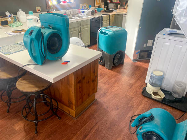 Best Ceiling water damage repair  in Van Vleck, TX