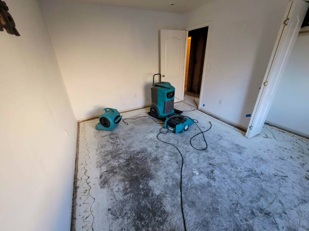 Best Carpet water damage restoration  in Van Vleck, TX