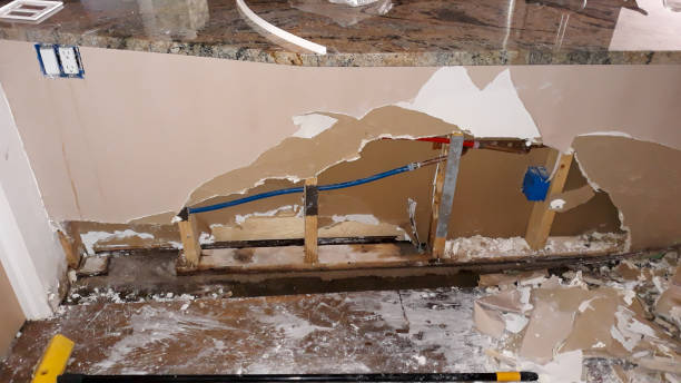 Best Water damage restoration services  in Van Vleck, TX